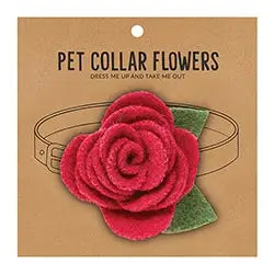 Pet Collar Flower - Raspberry