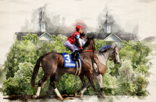 Kentucky Derby 151