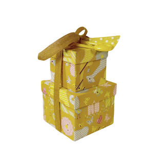 2 Tiered Baby Gift Box